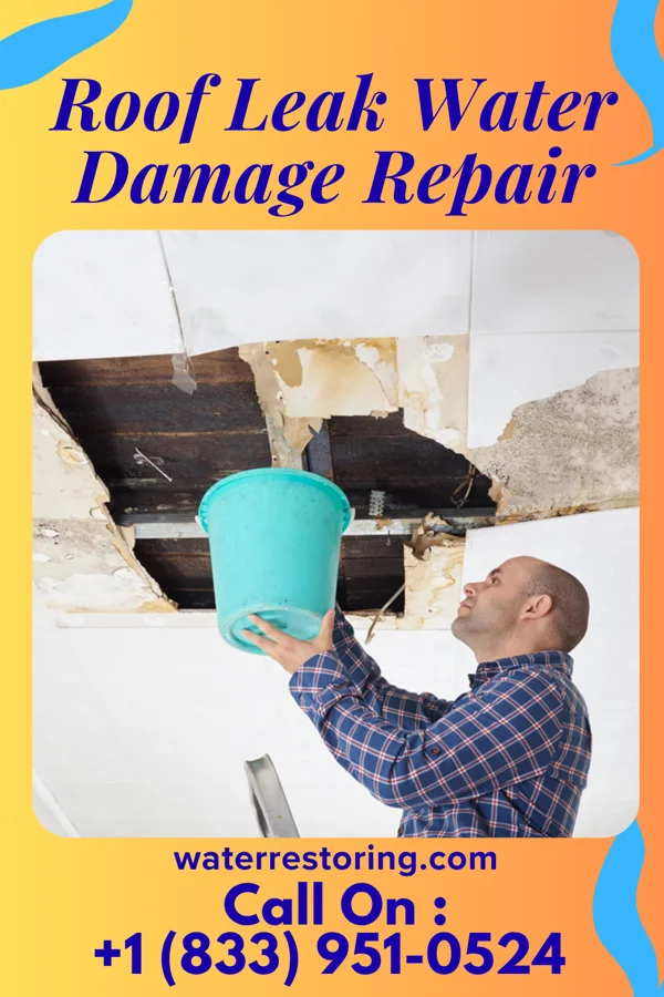 Roof Leak Water Damage Repair in Brownfield, TX